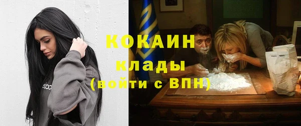 твердый Надым