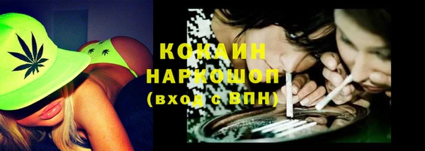 стаф Нея