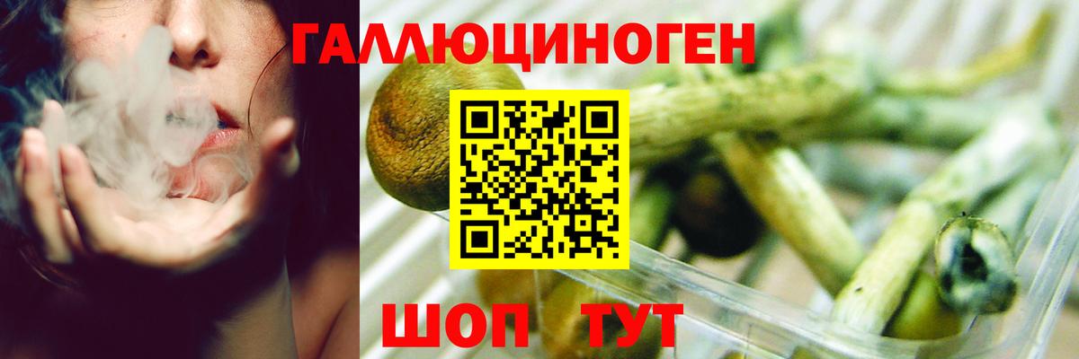 продажа наркотиков  Вход с VPN  Рассказово  Псилоцибиновые грибы Cubensis 